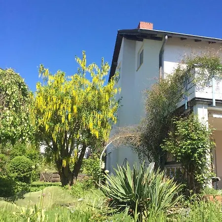 In Musikalischem Haus