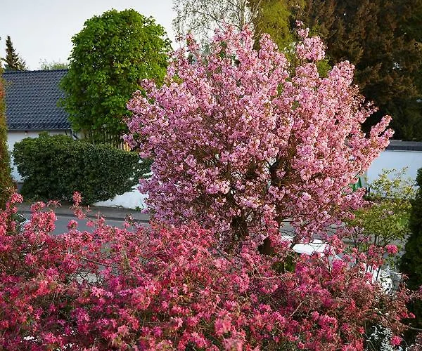 Apartment In Musikalischem Haus *