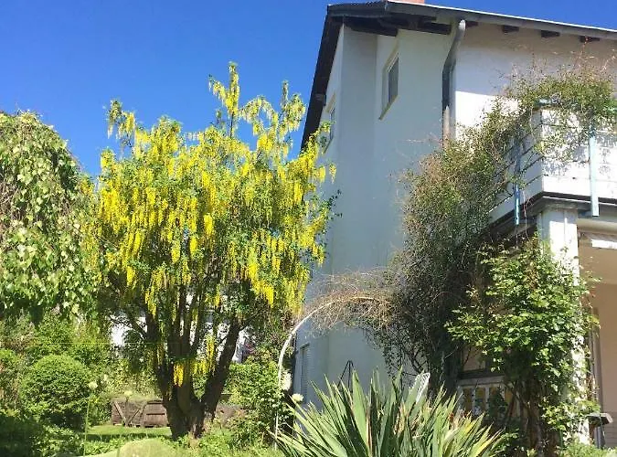 In Musikalischem Haus